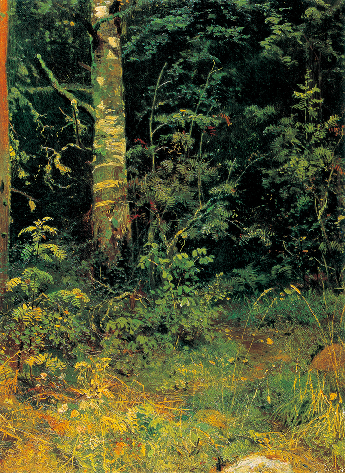  伊凡·伊凡诺维奇·希施金 Ivan I. Shishkin —— Ivan Shishkin-012